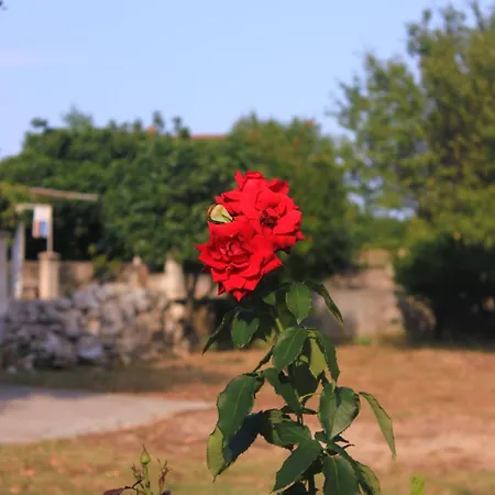 10256b Appartement Orebić