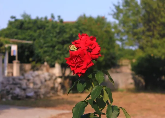 10256b Appartement Orebić