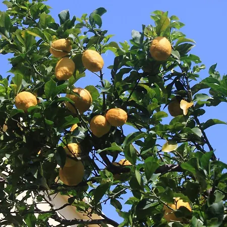 10256b アパート オレビック