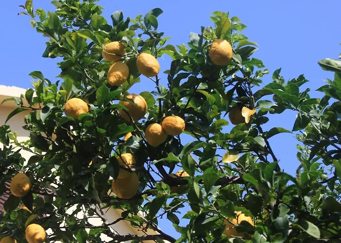 10256b 公寓 奥瑞比克